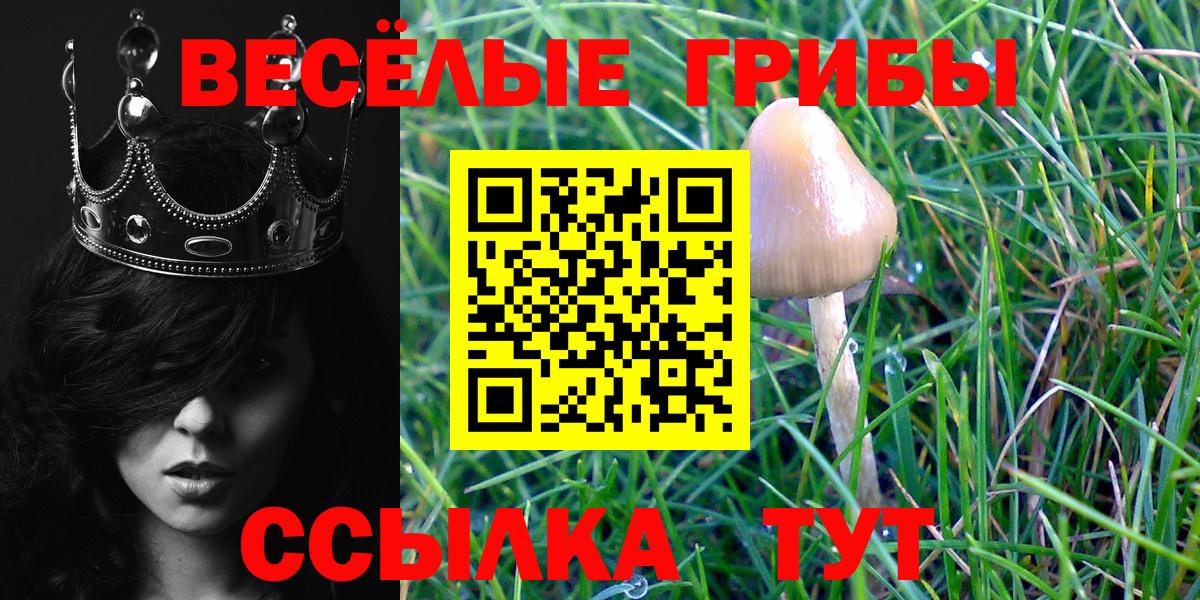 Псилоцибиновые грибы ЛСД  Псилоцибиновые грибы Cubensis  Дзержинский  Вход с VPN 