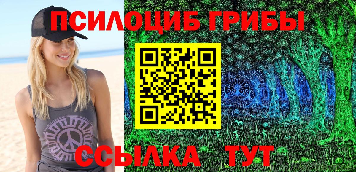 Галлюциногенные грибы Cubensis Дзержинский